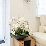 Allure Luxury - 4 Csillagos Wellness Lejlighed Debrecen